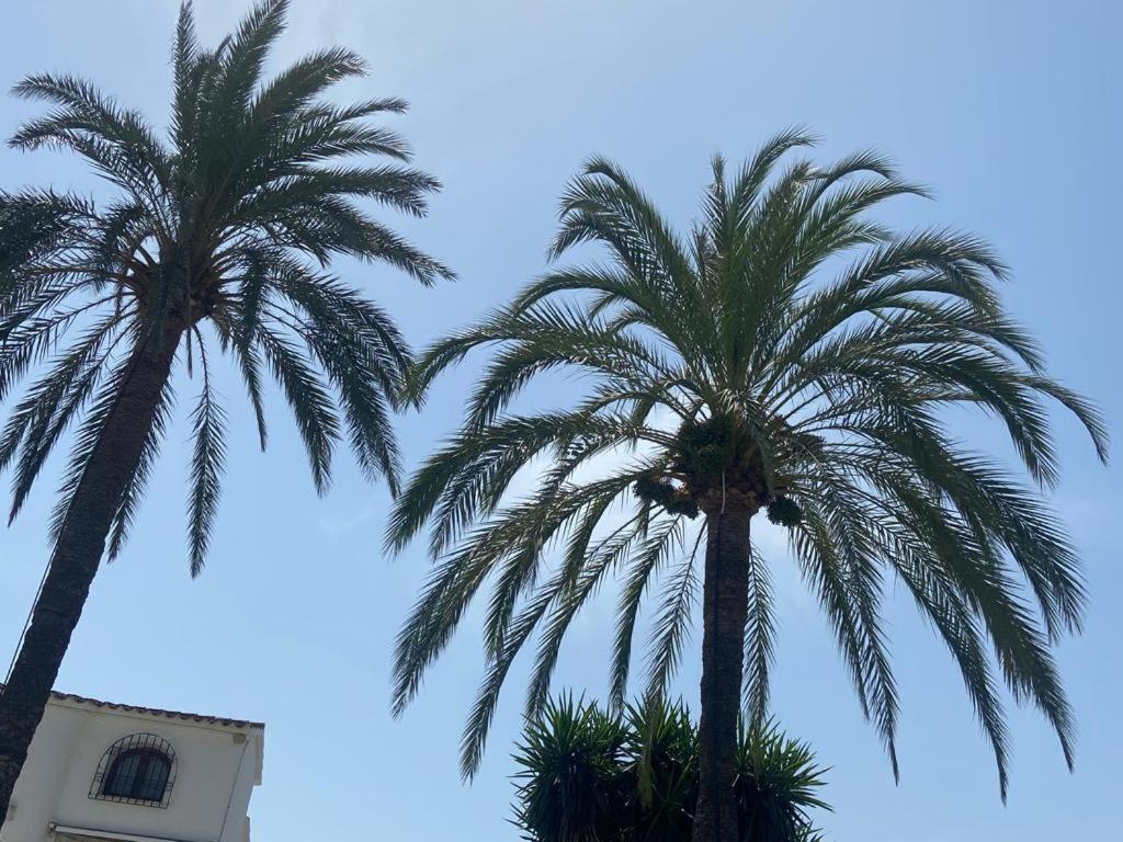 Apartamento Urb Oasis Park II Denia, Las Marinas Zewnętrze zdjęcie
